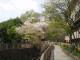 img0003.jpg