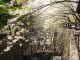 img0004.jpg