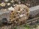 img0005.jpg