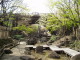 img0008.jpg