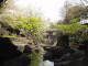 img0010.jpg
