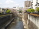 img0013.jpg