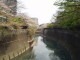 img0016.jpg