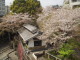 img0018.jpg