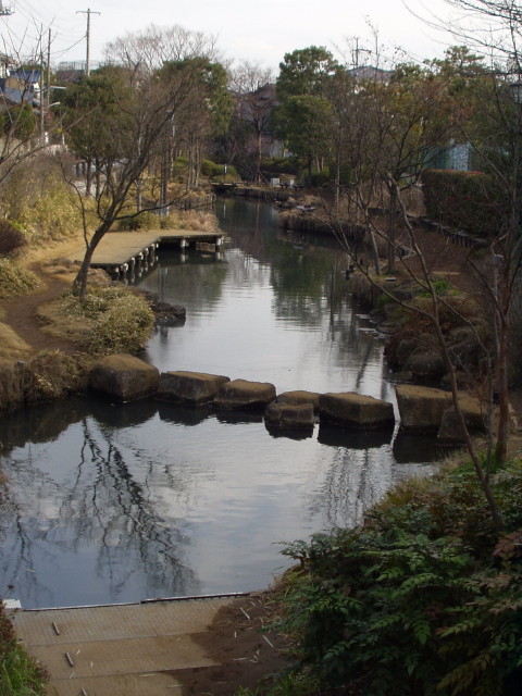 img0007.jpg