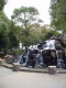 img0003.jpg