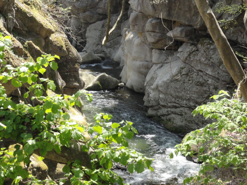 img0006.jpg