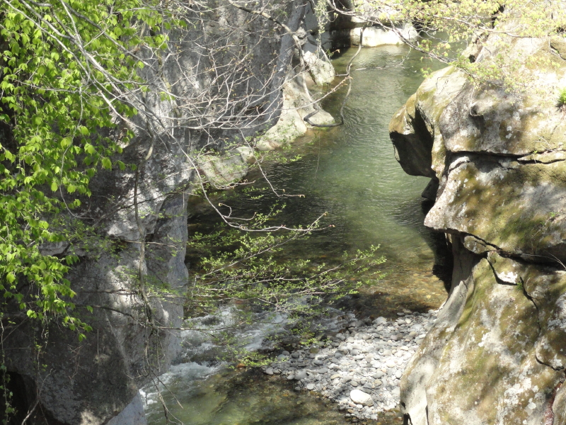 img0009.jpg