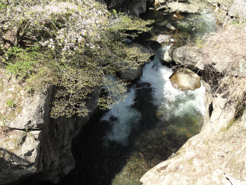 img0011.jpg