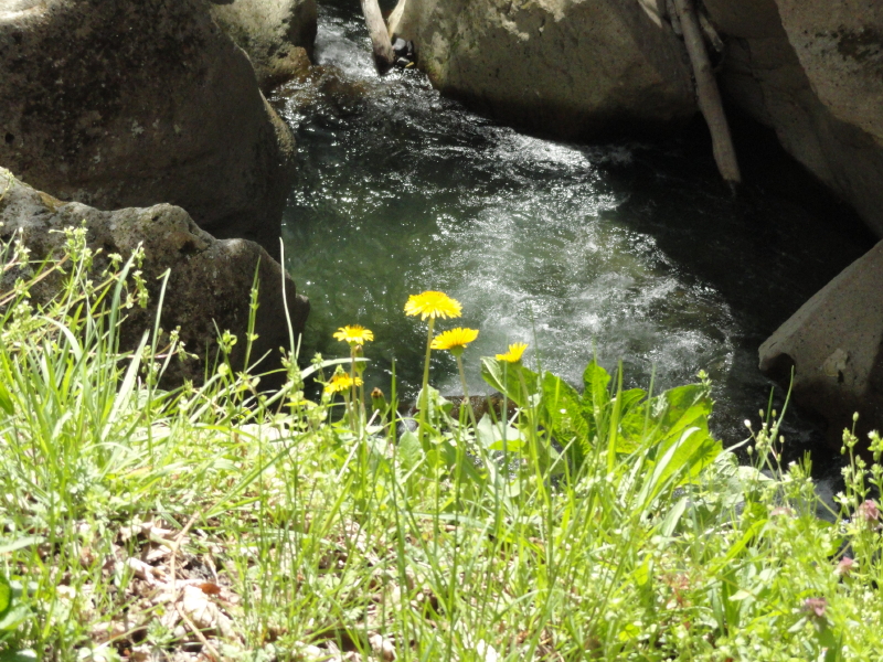 img0028.jpg