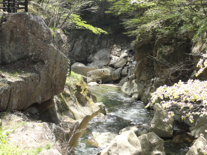 img0029.jpg