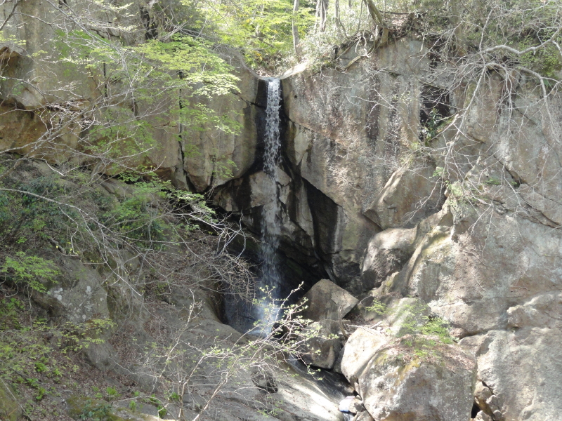img0035.jpg