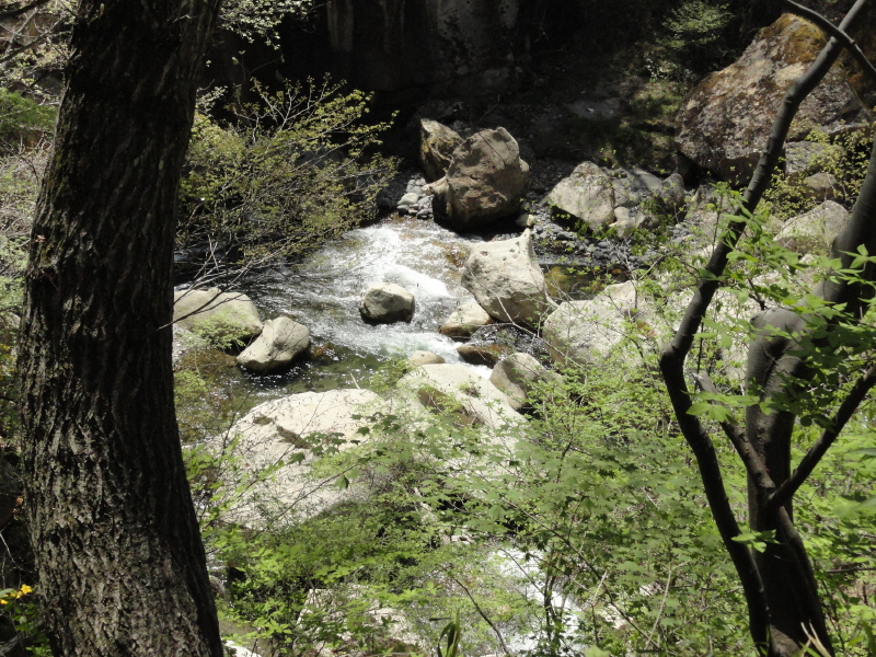 img0037.jpg