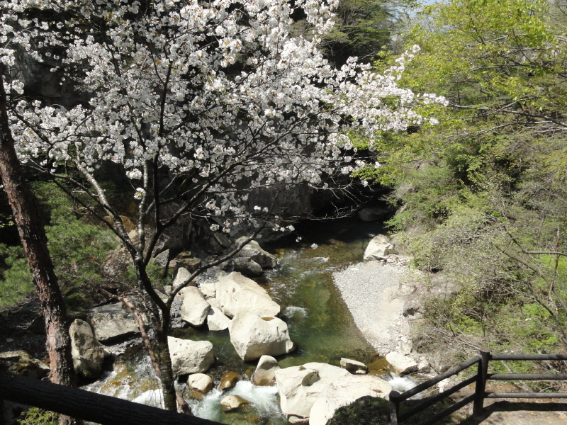 img0039.jpg