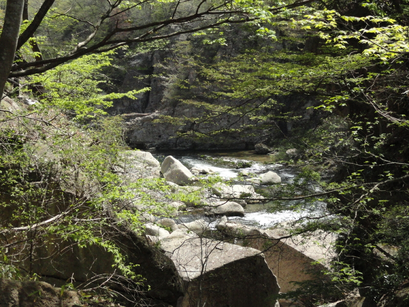 img0042.jpg