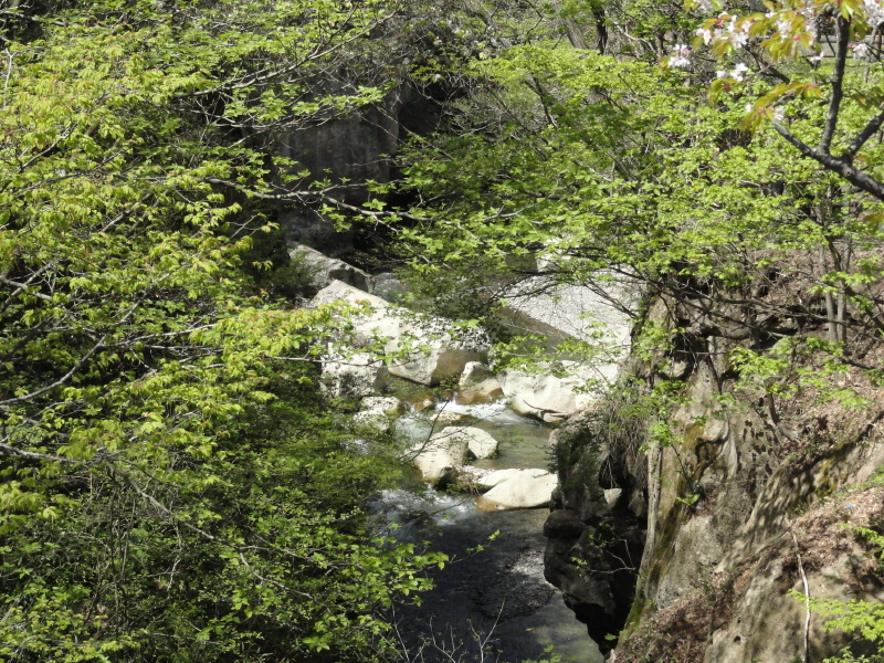 img0044.jpg