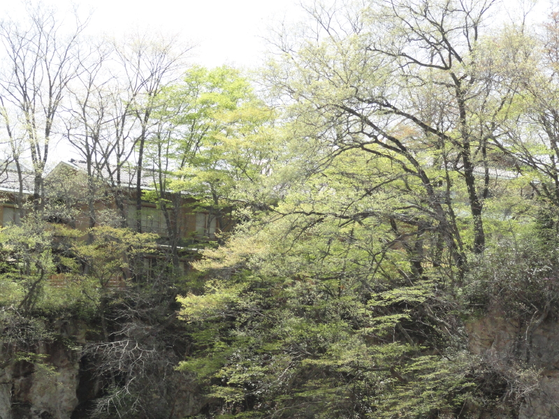 img0048.jpg