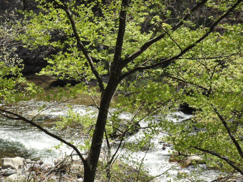 img0049.jpg