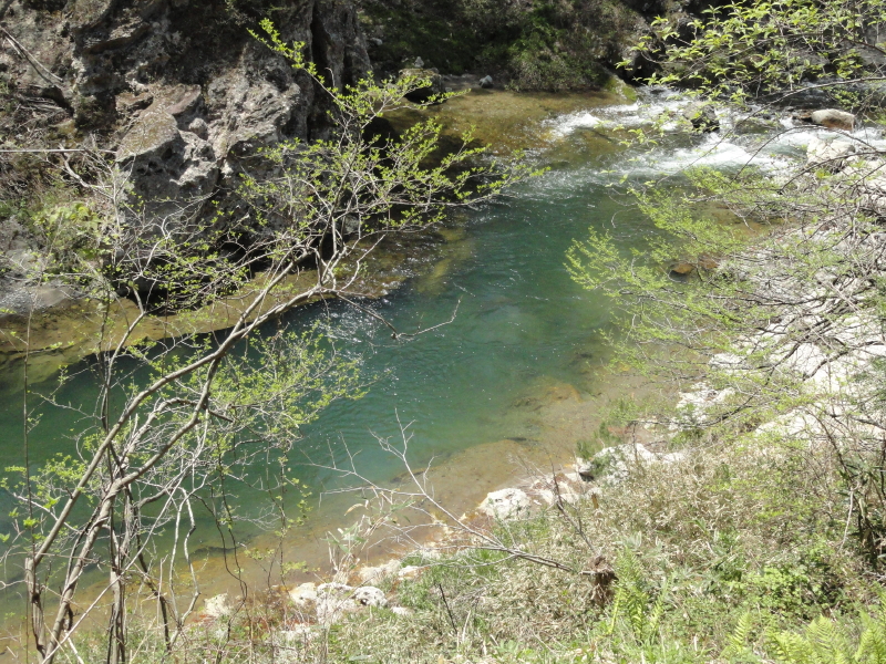 img0052.jpg