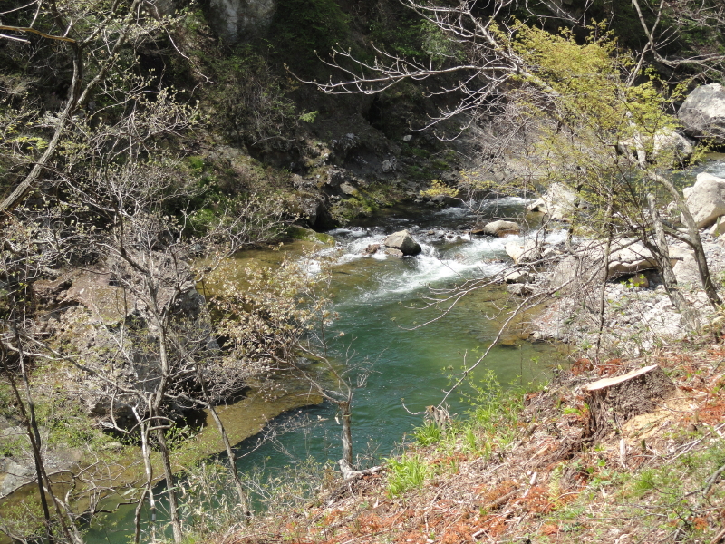 img0055.jpg