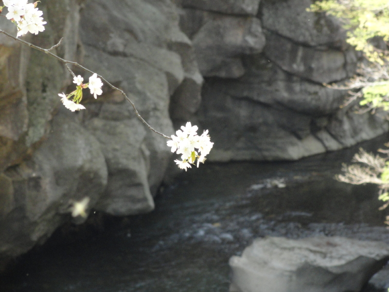 img0056.jpg