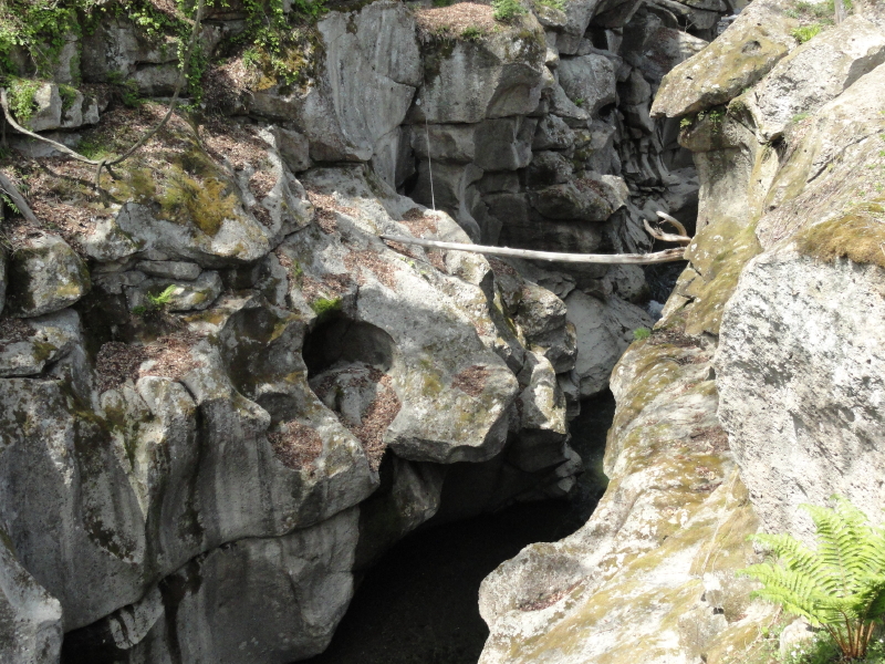 img0071.jpg