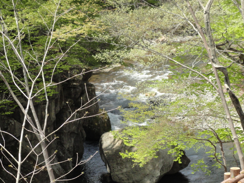 img0073.jpg