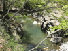 img0002.jpg