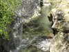 img0009.jpg