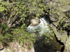 img0010.jpg