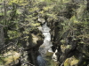 img0012.jpg