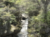 img0014.jpg