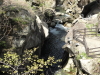 img0019.jpg