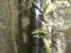 img0025.jpg