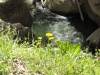 img0028.jpg