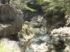 img0029.jpg