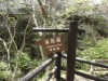 img0041.jpg