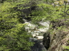 img0044.jpg