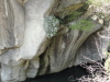 img0047.jpg