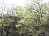 img0048.jpg