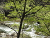 img0049.jpg