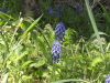 img0050.jpg