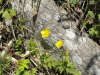 img0051.jpg