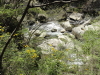 img0058.jpg