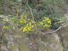img0059.jpg