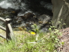 img0061.jpg