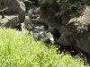 img0062.jpg
