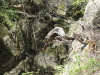 img0064.jpg