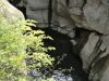 img0066.jpg