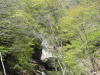 img0068.jpg
